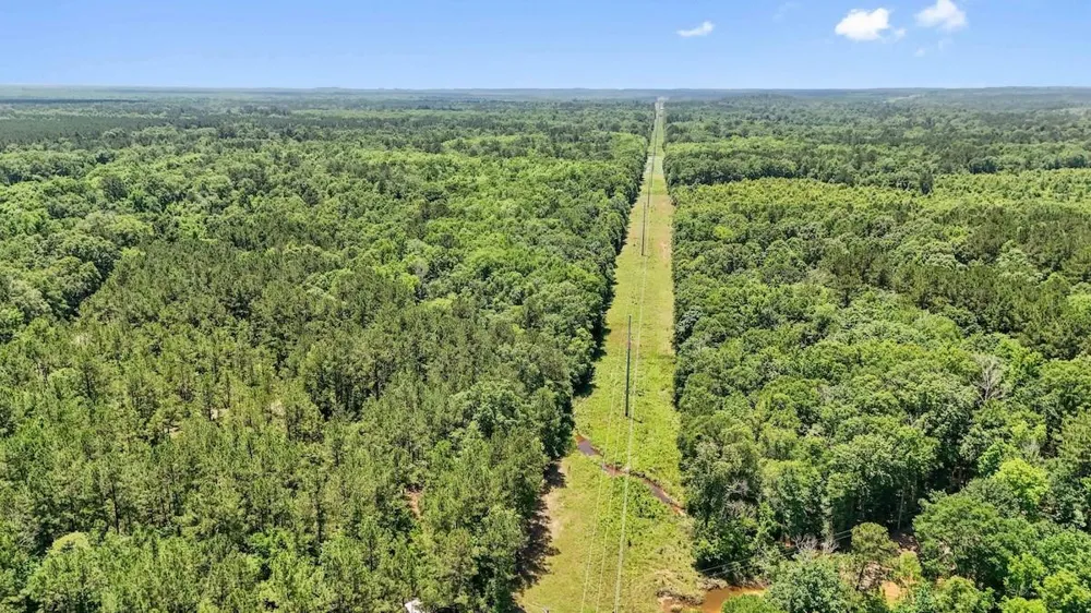 Hickman Road Burkeville, TX 75932