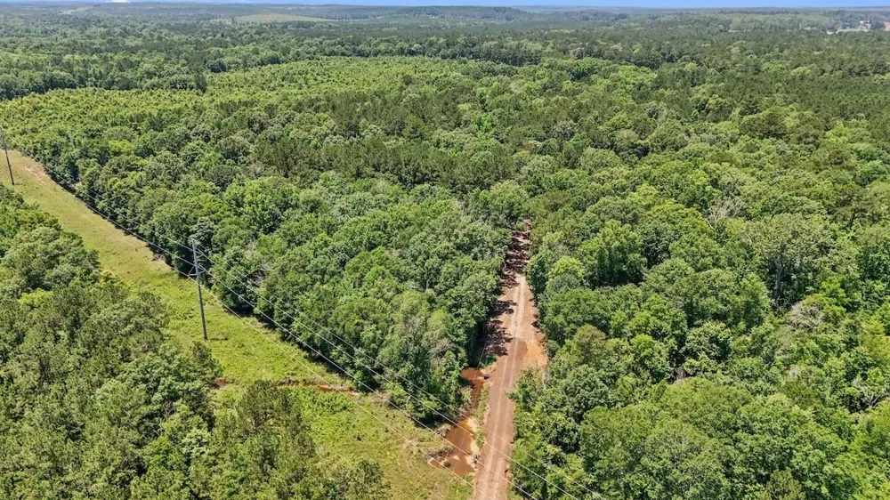 Hickman Road Burkeville, TX 75932