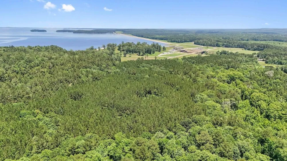 Hickman Road Burkeville, TX 75932