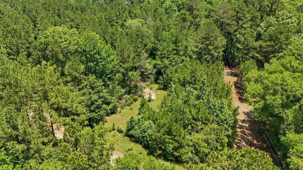 Hickman Road Burkeville, TX 75932