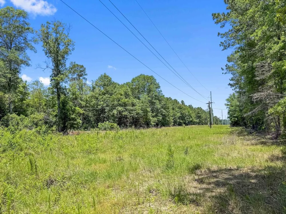 Hickman Road Burkeville, TX 75932