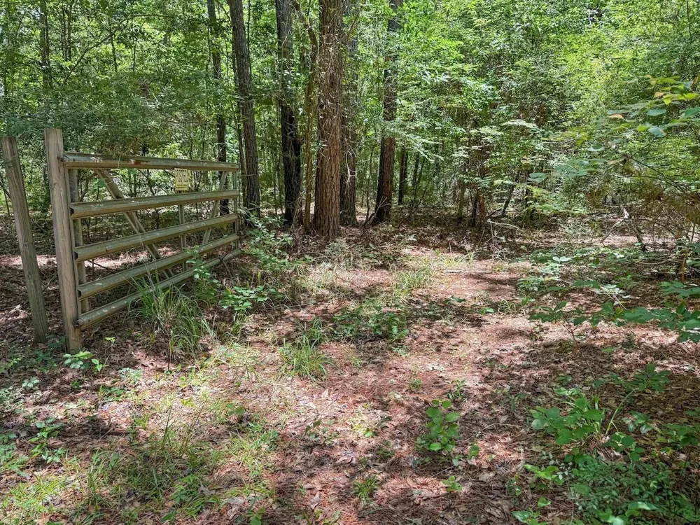 Hickman Road Burkeville, TX 75932