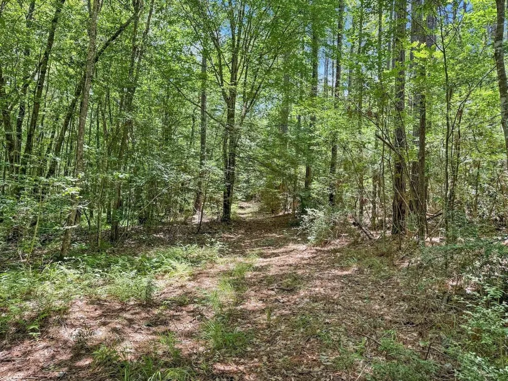 Hickman Road Burkeville, TX 75932