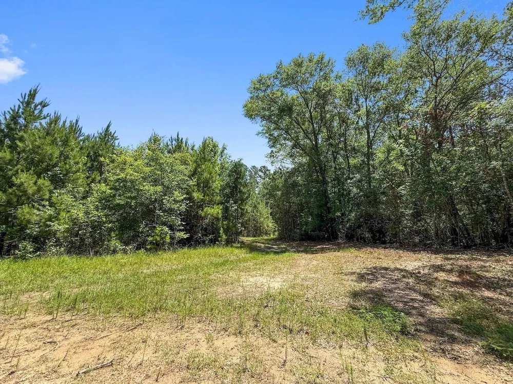 Hickman Road Burkeville, TX 75932