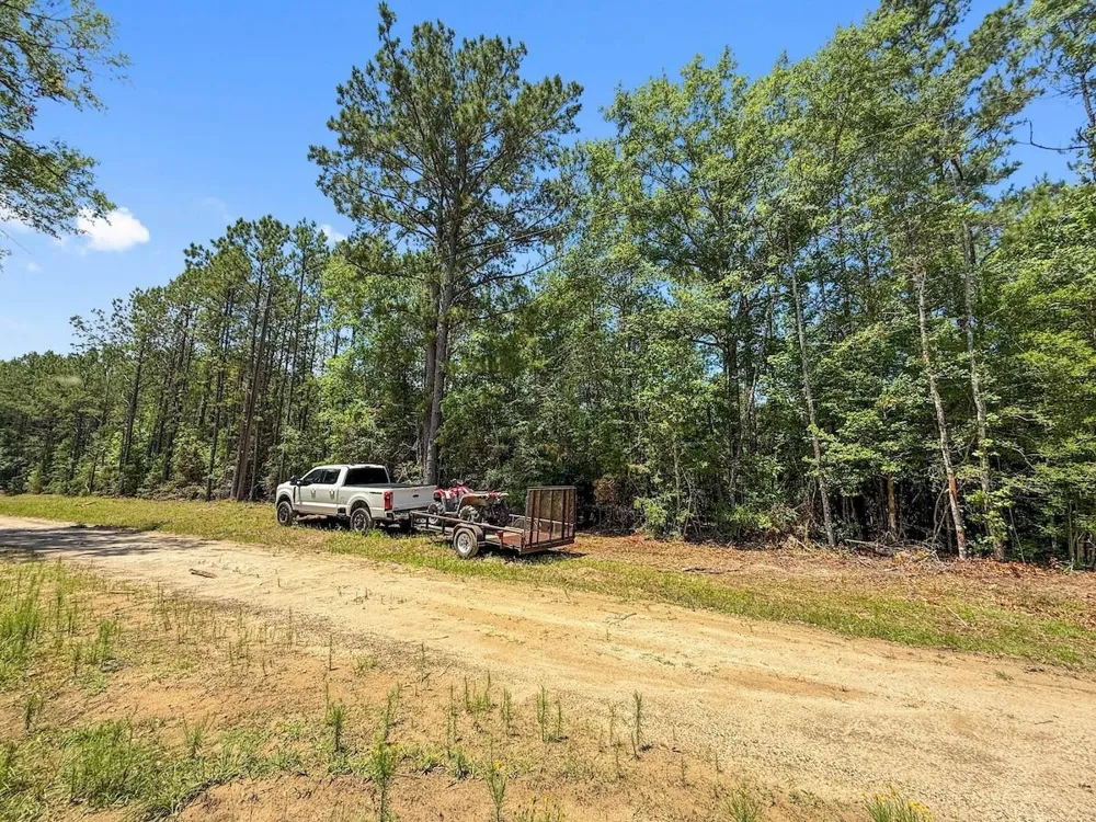 Hickman Road Burkeville, TX 75932