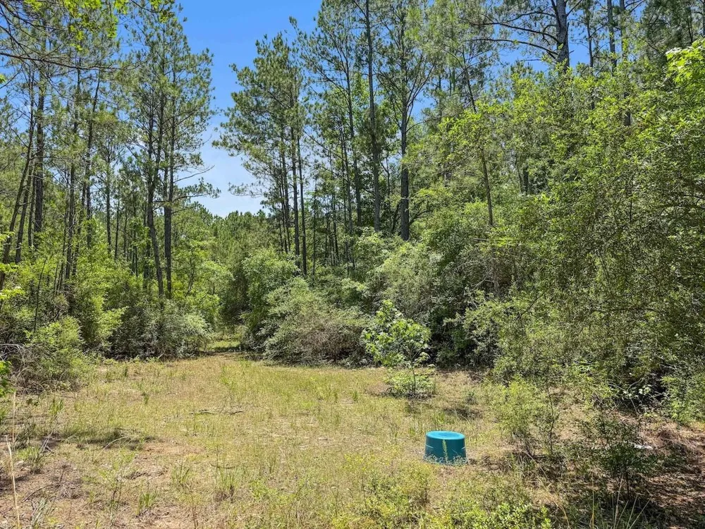Hickman Road Burkeville, TX 75932