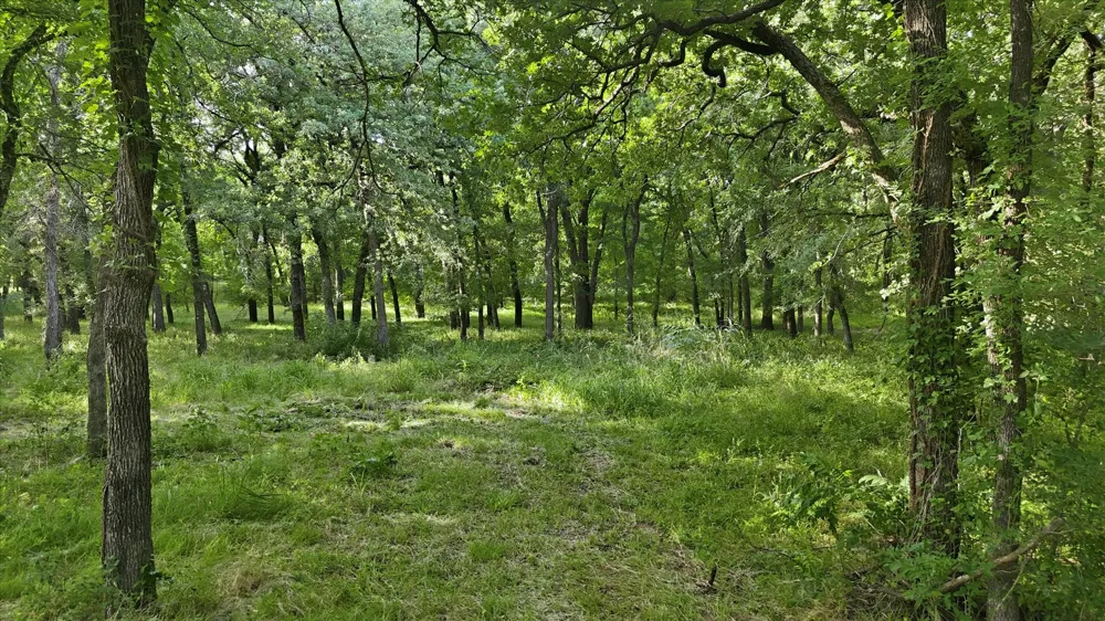 596 County Road 4668 Rhome, TX 76078