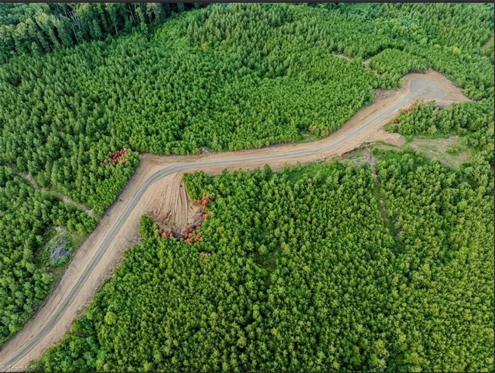 585 Briar Ridge Lane Extension Yanceyville, NC 27379