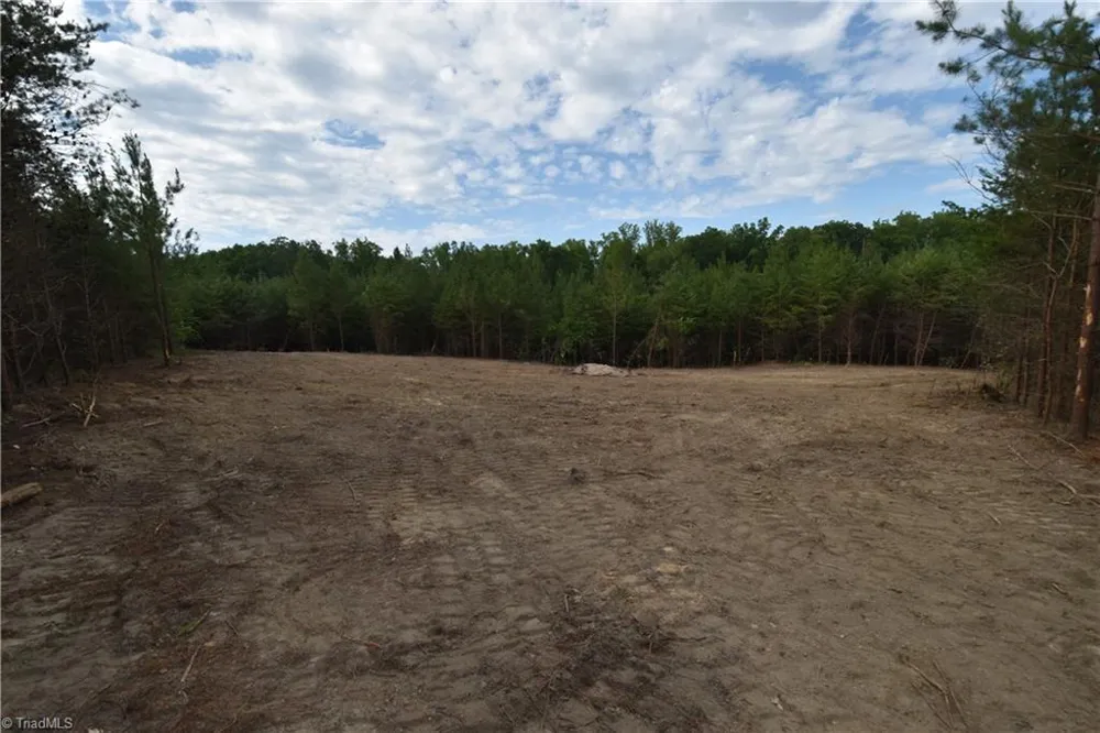 585 Briar Ridge Lane Extension Yanceyville, NC 27379