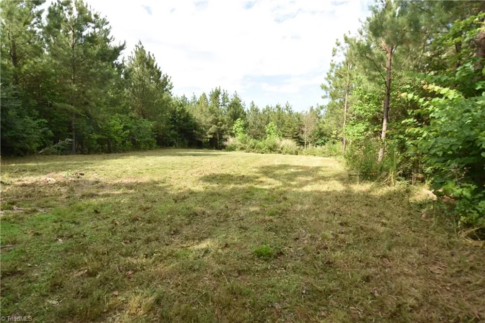 585 Briar Ridge Lane Extension Yanceyville, NC 27379