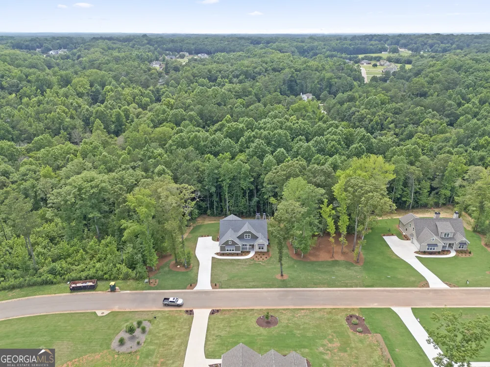 299 Cammie WAY Williamson, GA 30292