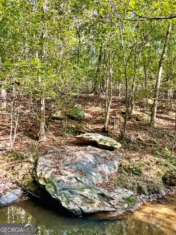 0 Highway 36 E Jackson, GA 30233