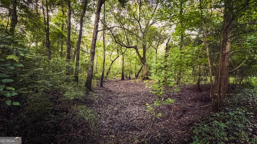 0 River Ridge RD Reidsville, GA 30453