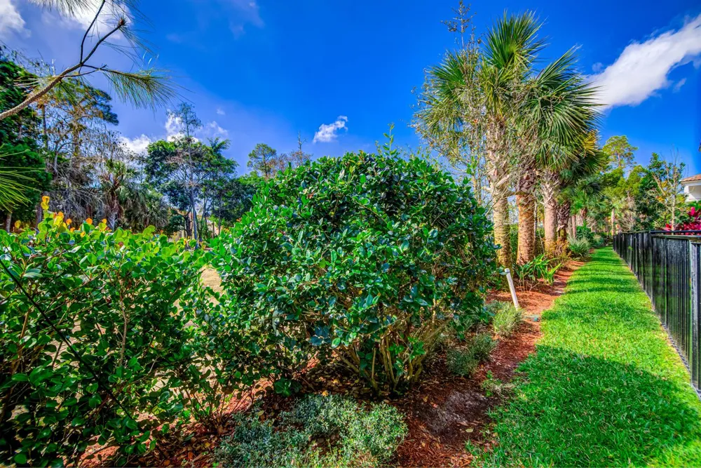 15688 Italian Cypress Way Wellington, FL 33414