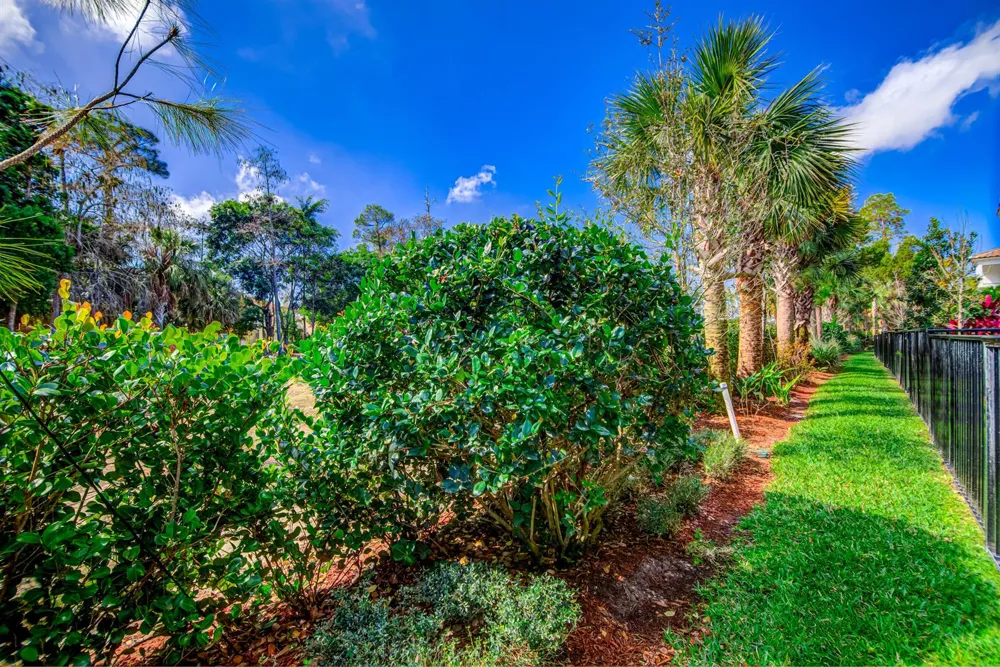 15688 Italian Cypress Way Wellington, FL 33414