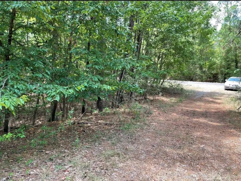 Hickory Circle Point Blank, TX 77364