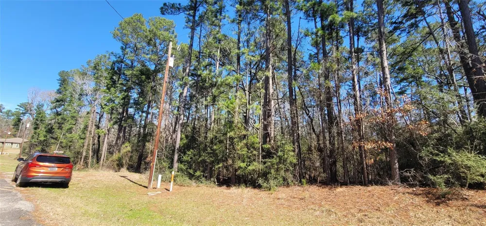 Hickory Circle Point Blank, TX 77364