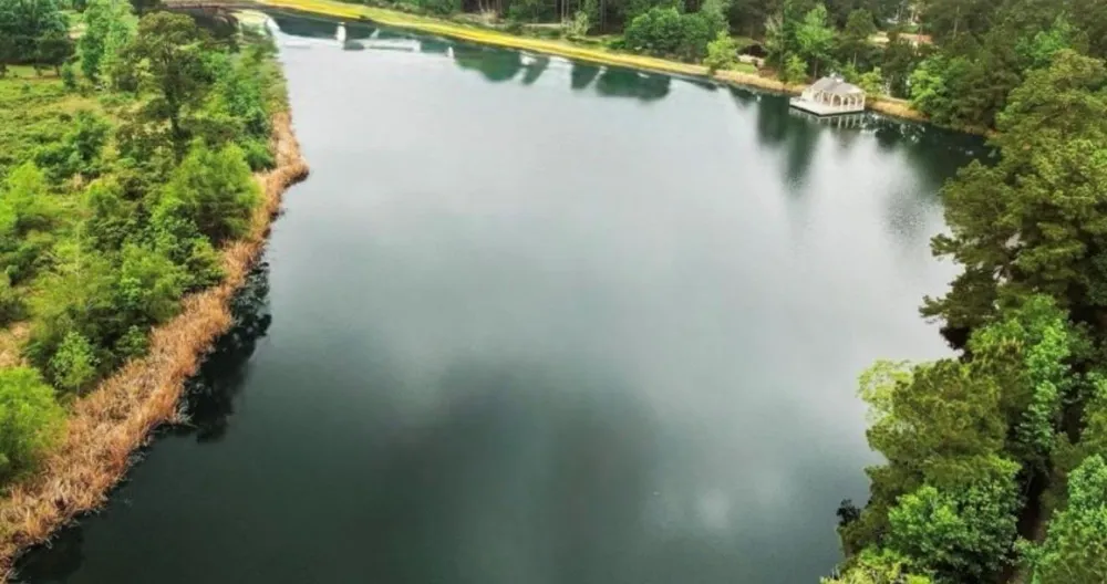 7389 Teaswood Drive Conroe, TX 77304