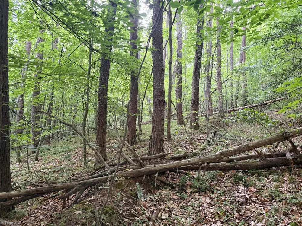 00 Lynchburg Road Westfield, NC 27053