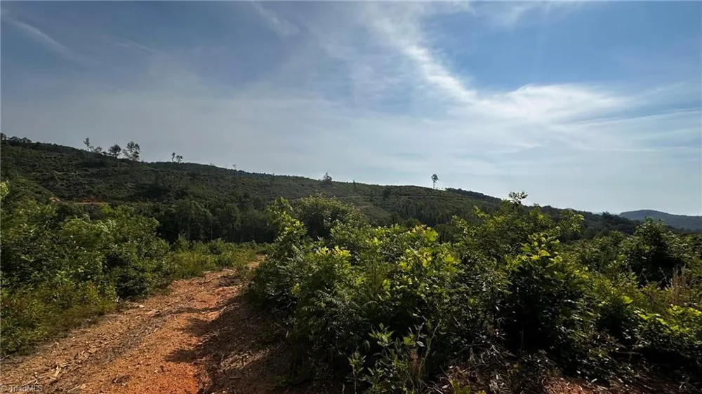 TBD Hose Road Moravian Falls, NC 28654
