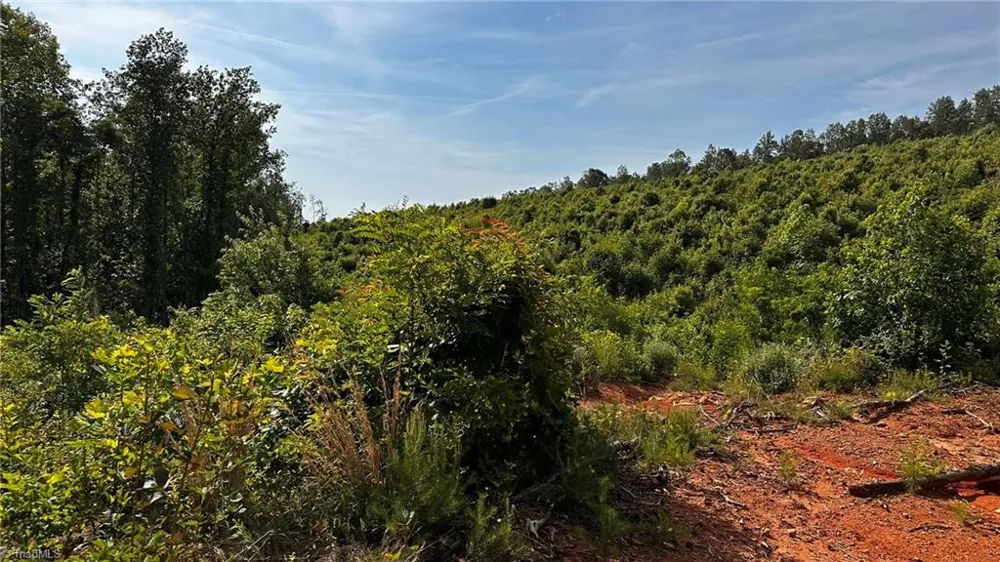 TBD Hose Road Moravian Falls, NC 28654
