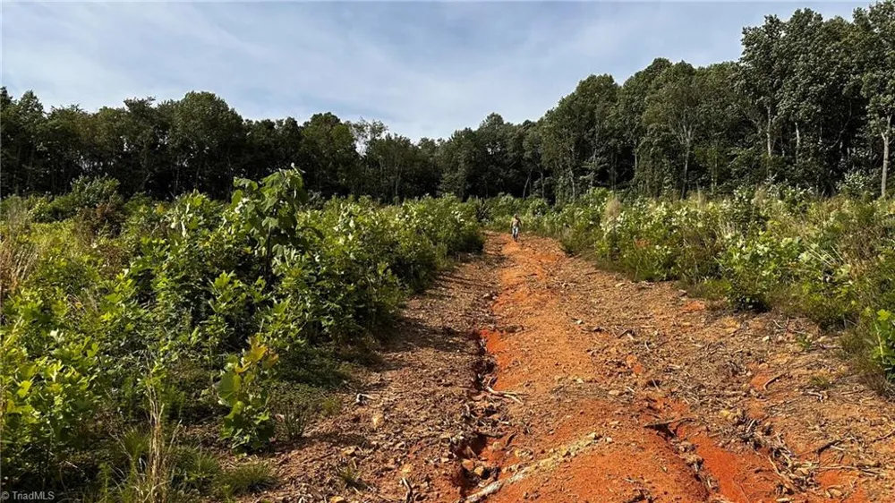 TBD Hose Road Moravian Falls, NC 28654
