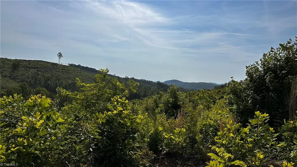 TBD Hose Road Moravian Falls, NC 28654