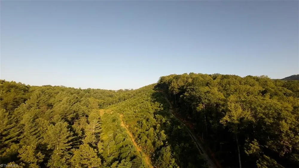 TBD Hose Road Moravian Falls, NC 28654