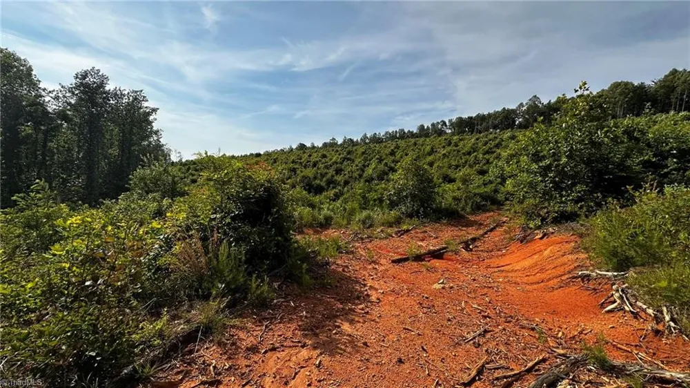 TBD Hose Road Moravian Falls, NC 28654