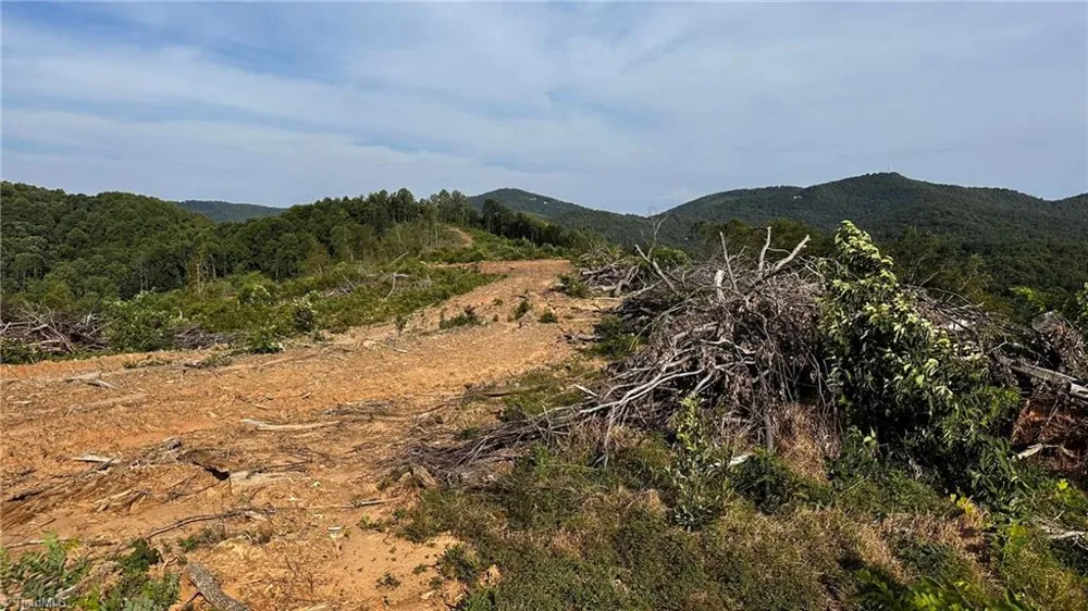 TBD Hose Road Moravian Falls, NC 28654