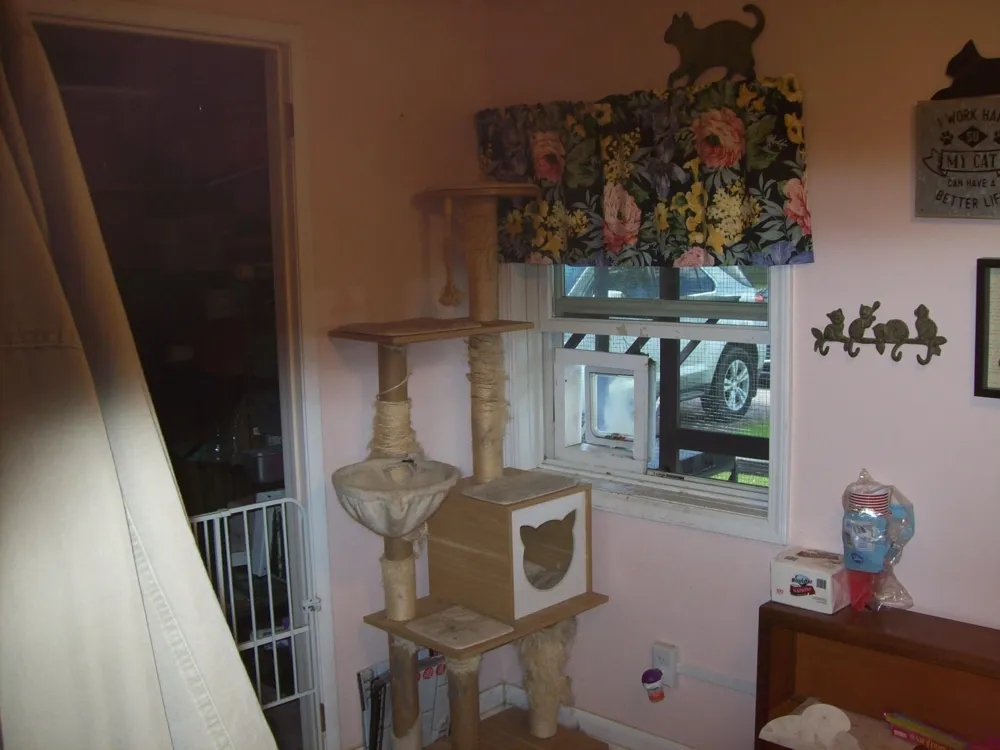9136 Richfield Court Richfield Township, MI 48656