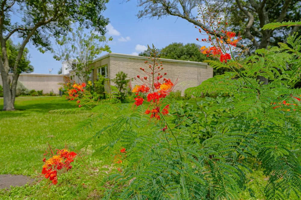 1700 S Virginia Port Lavaca, TX 77979