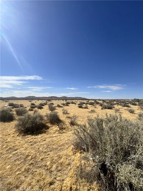 Navajo