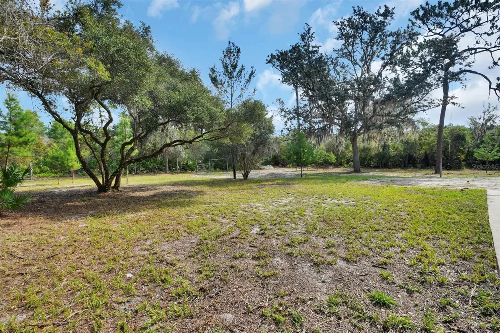 1251 SEMINOLE DRIVE De Leon Springs, FL 32130