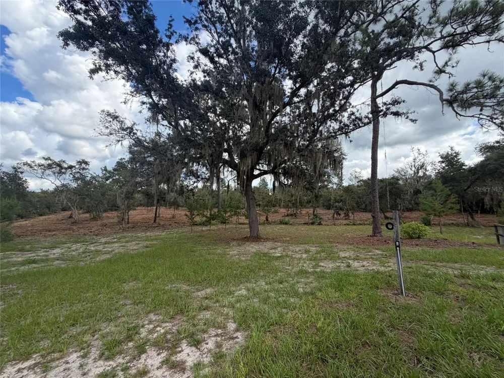 1251 SEMINOLE DRIVE De Leon Springs, FL 32130
