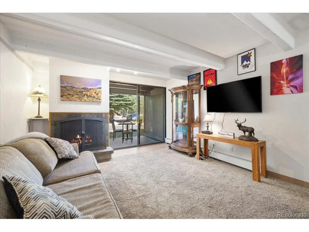 220 E La Bonte Street #130 Dillon, CO 80435