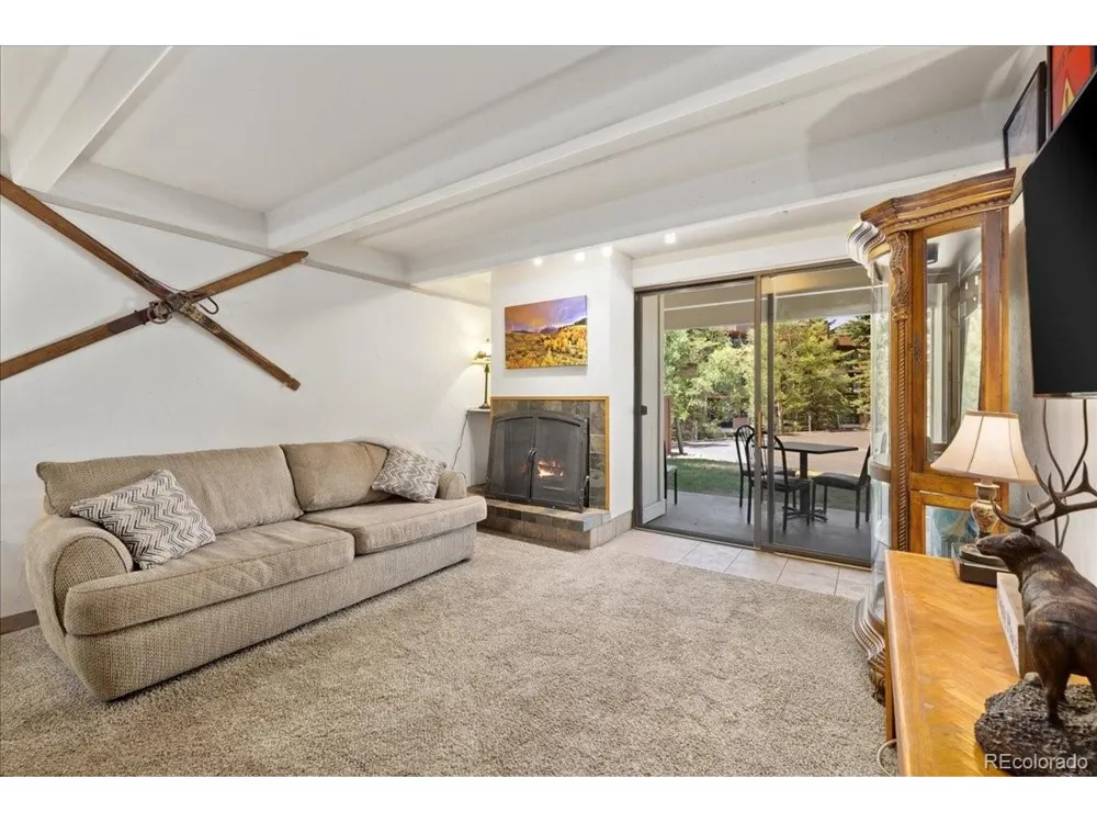 220 E La Bonte Street #130 Dillon, CO 80435