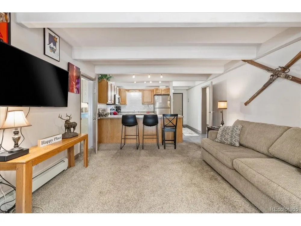 220 E La Bonte Street #130 Dillon, CO 80435