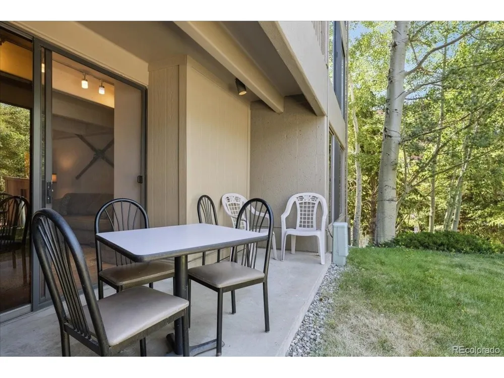 220 E La Bonte Street #130 Dillon, CO 80435
