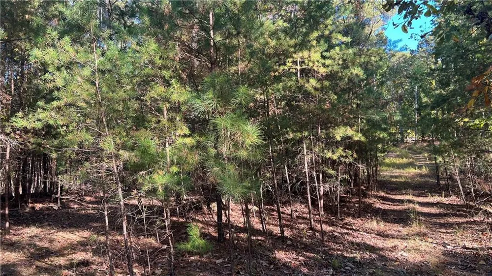 3455 Little Refuge Road Waleska, GA 30183