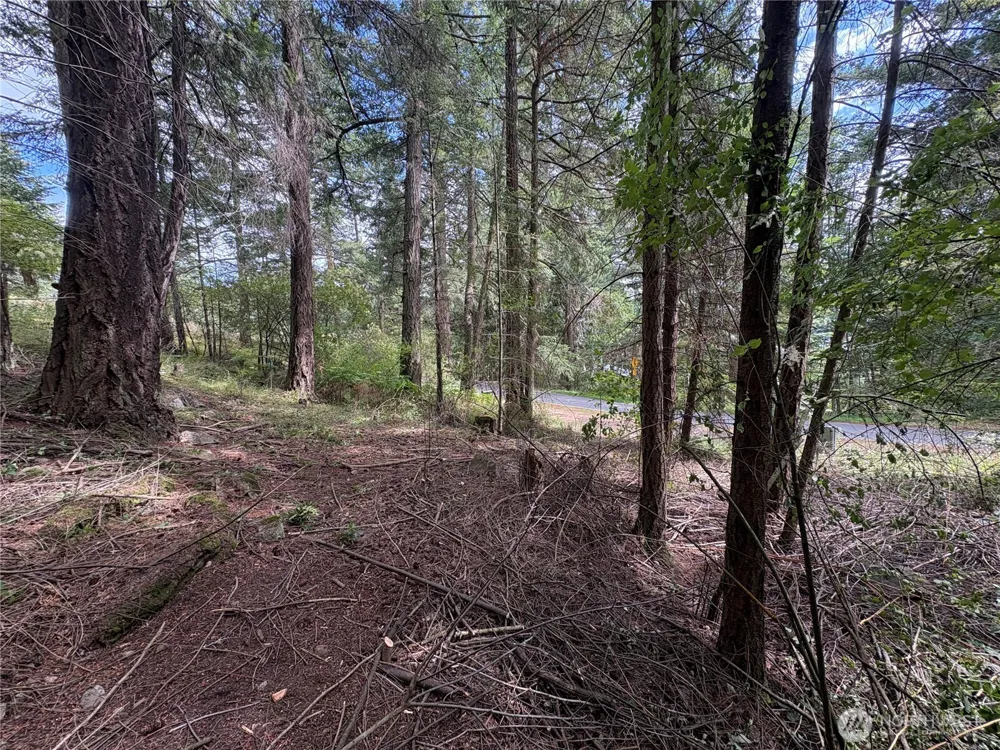 0 Lot 14 Rosario Road Orcas Island, WA 98245