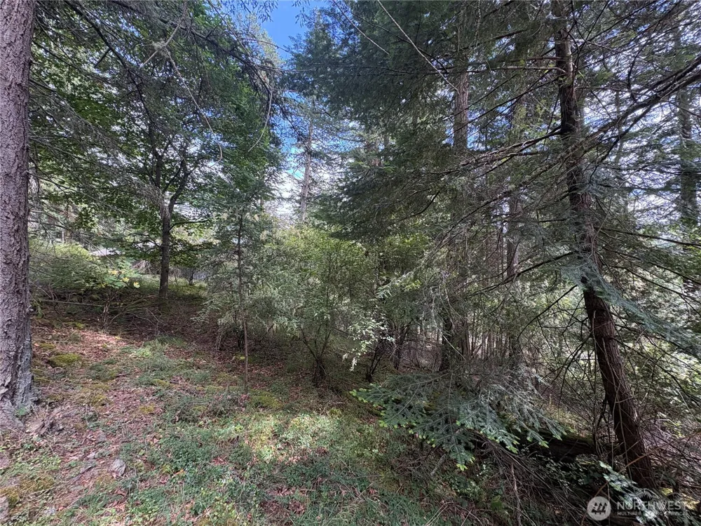 0 Lot 14 Rosario Road Orcas Island, WA 98245