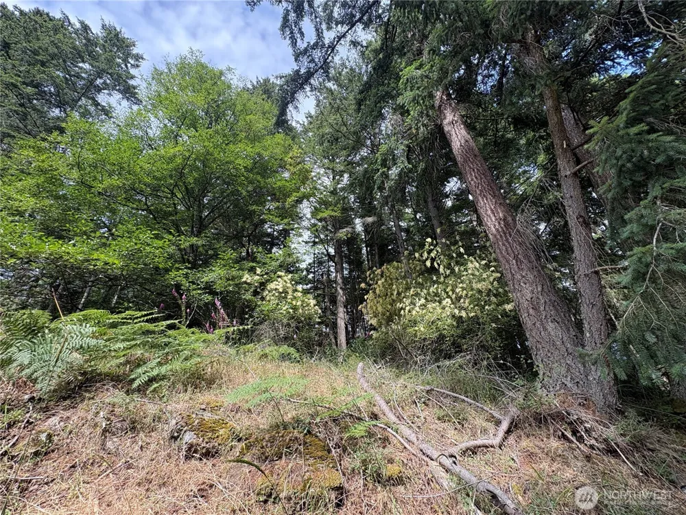 0 Lot 14 Rosario Road Orcas Island, WA 98245