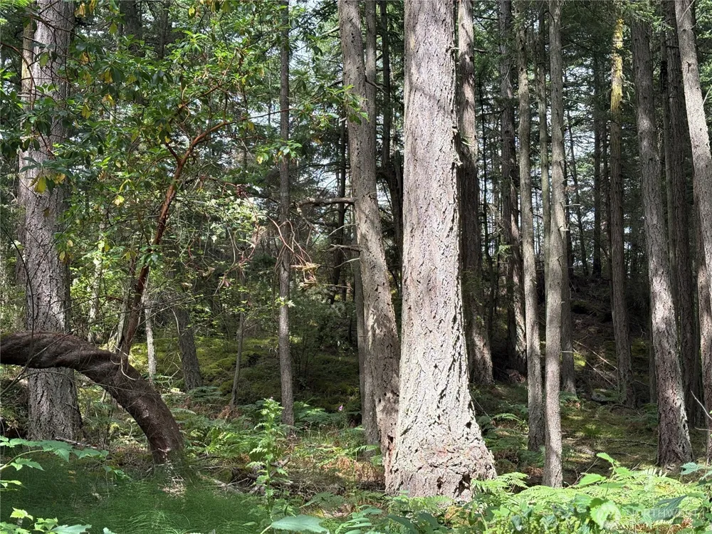 0 Lot 14 Rosario Road Orcas Island, WA 98245