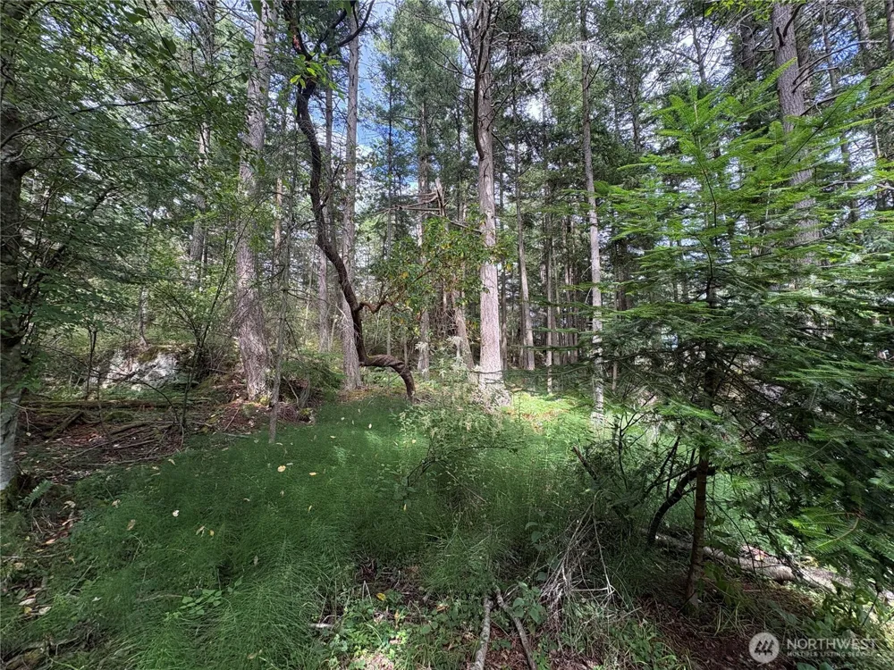 0 Lot 14 Rosario Road Orcas Island, WA 98245