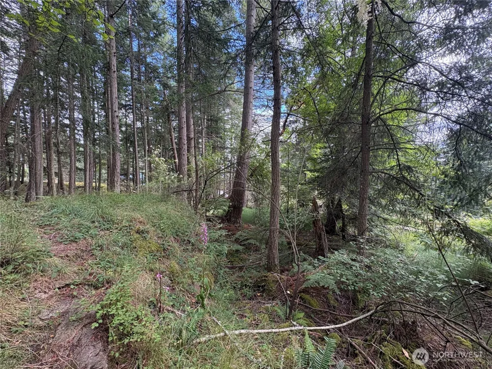 0 Lot 14 Rosario Road Orcas Island, WA 98245