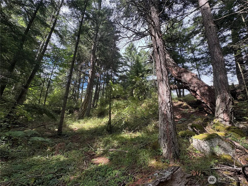 0 Lot 14 Rosario Road Orcas Island, WA 98245