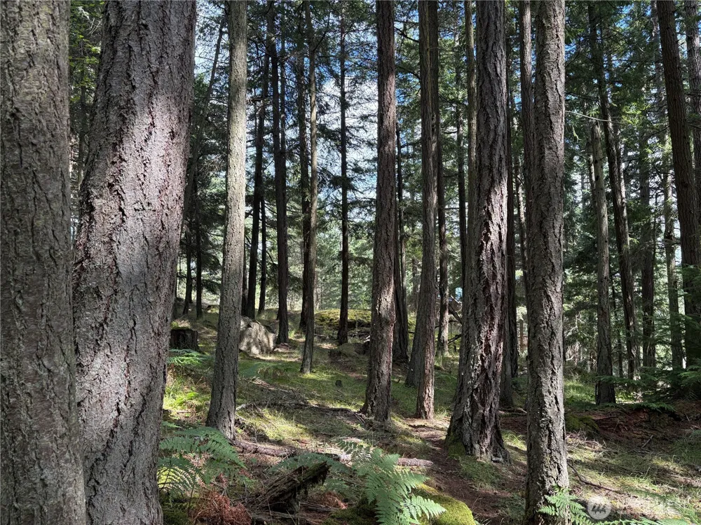 0 Lot 14 Rosario Road Orcas Island, WA 98245