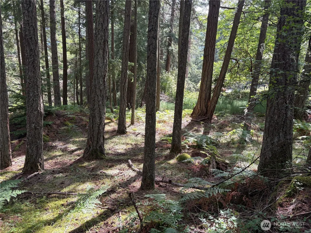 0 Lot 14 Rosario Road Orcas Island, WA 98245