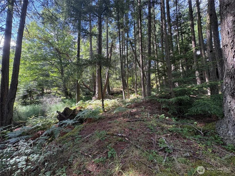 0 Lot 14 Rosario Road Orcas Island, WA 98245